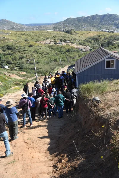 DSC_5163 (Large).JPG